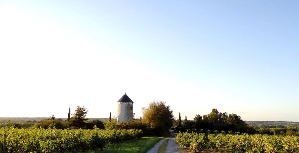 La Tour Du Moulin Geant Bed & Breakfast Rochefort-sur-Loire Luaran gambar