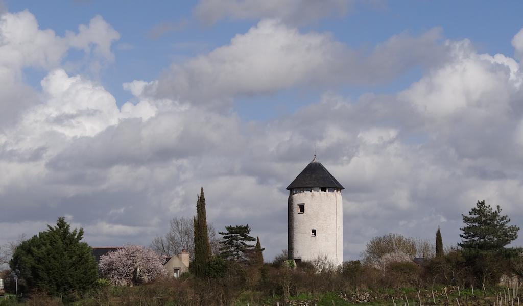 La Tour Du Moulin Geant Bed & Breakfast Rochefort-sur-Loire Luaran gambar