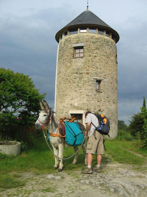 La Tour Du Moulin Geant Bed & Breakfast Rochefort-sur-Loire Luaran gambar